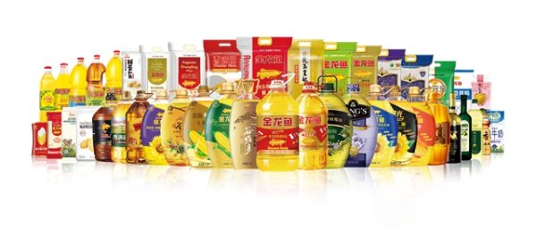 源顺网 坚定不移深耕中国市场 益海嘉里迎飞跃契机