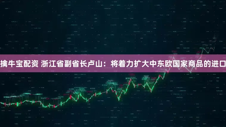 擒牛宝配资 浙江省副省长卢山：将着力扩大中东欧国家商品的进口