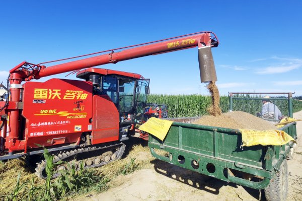 趣投顾 “龙口夺粮”收麦忙——“塞外粮仓”夏收见闻