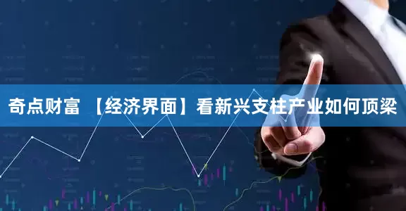 奇点财富 【经济界面】看新兴支柱产业如何顶梁
